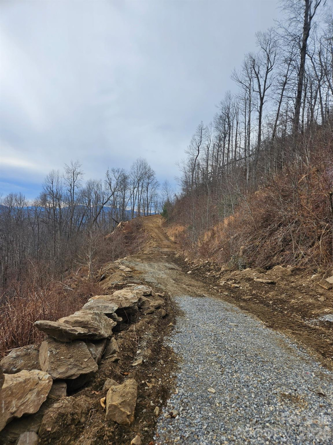 TBD Osborne Knob Road - Photo 12