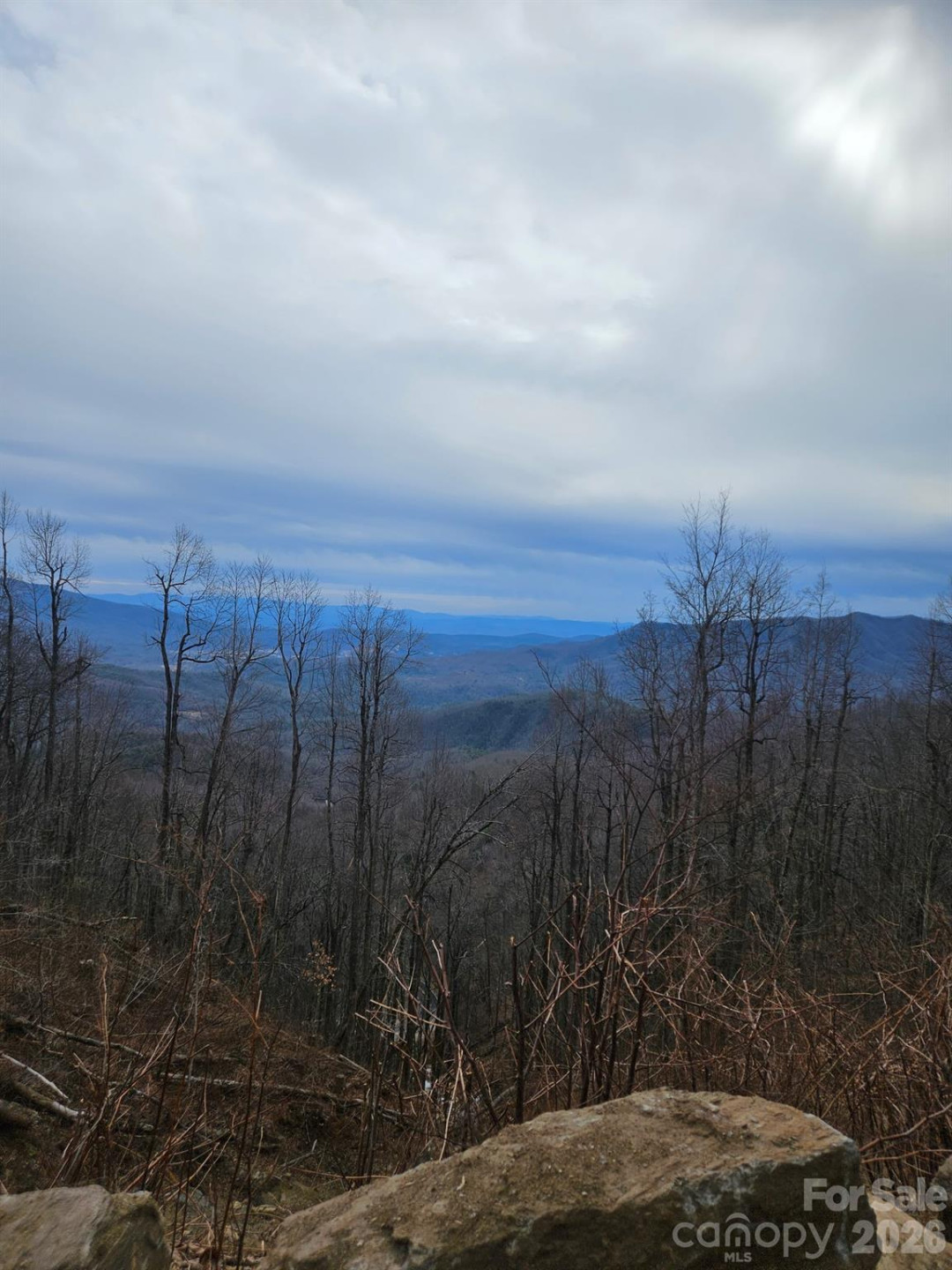 TBD Osborne Knob Road - Photo 13