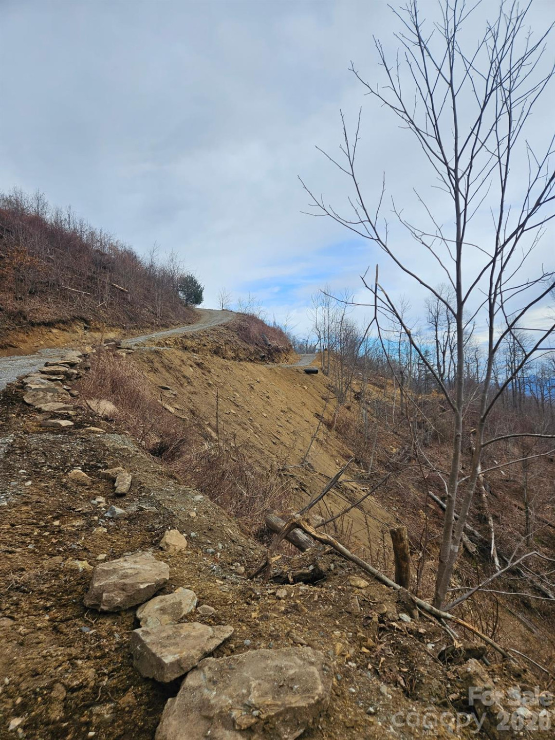 TBD Osborne Knob Road - Photo 14