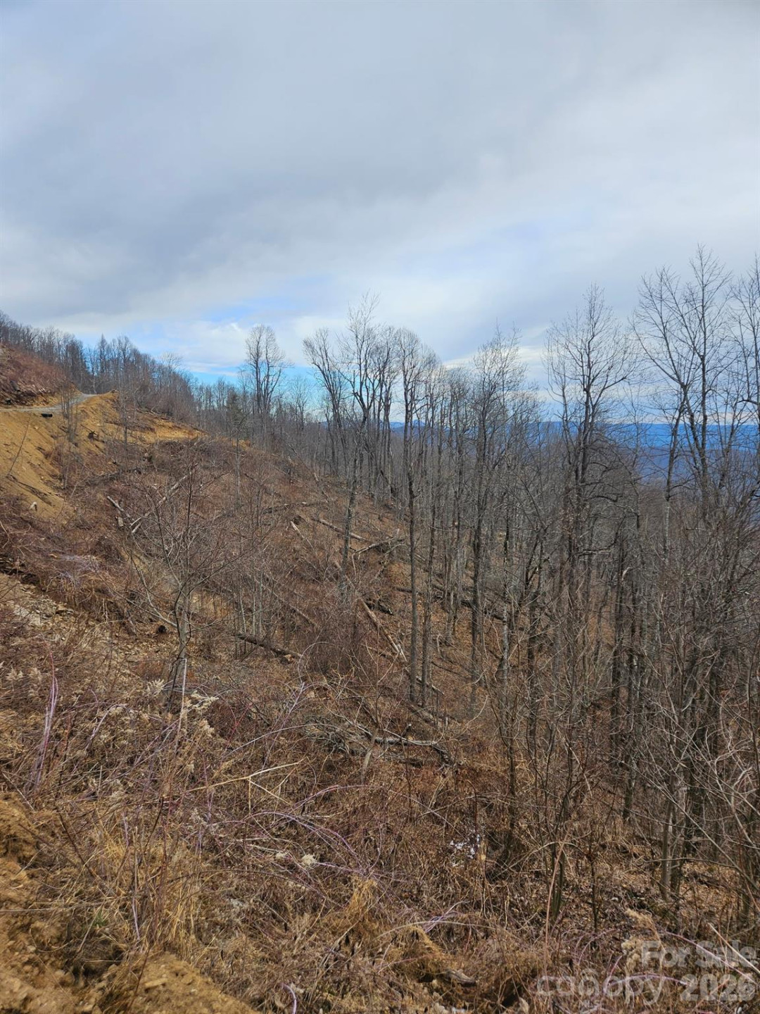 TBD Osborne Knob Road - Photo 16