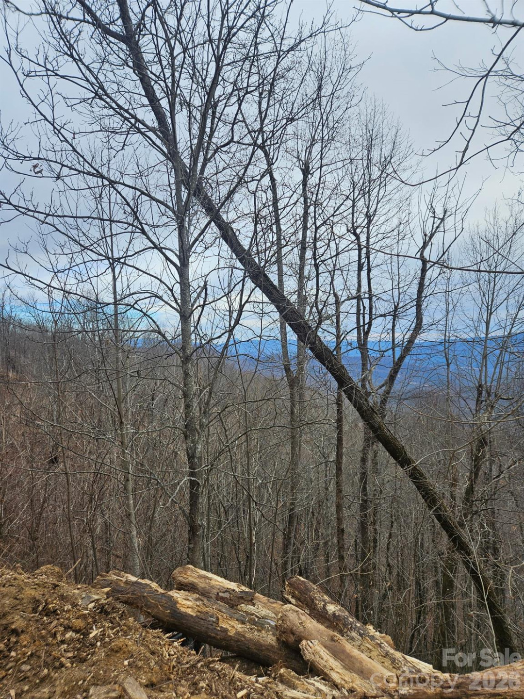 TBD Osborne Knob Road - Photo 17