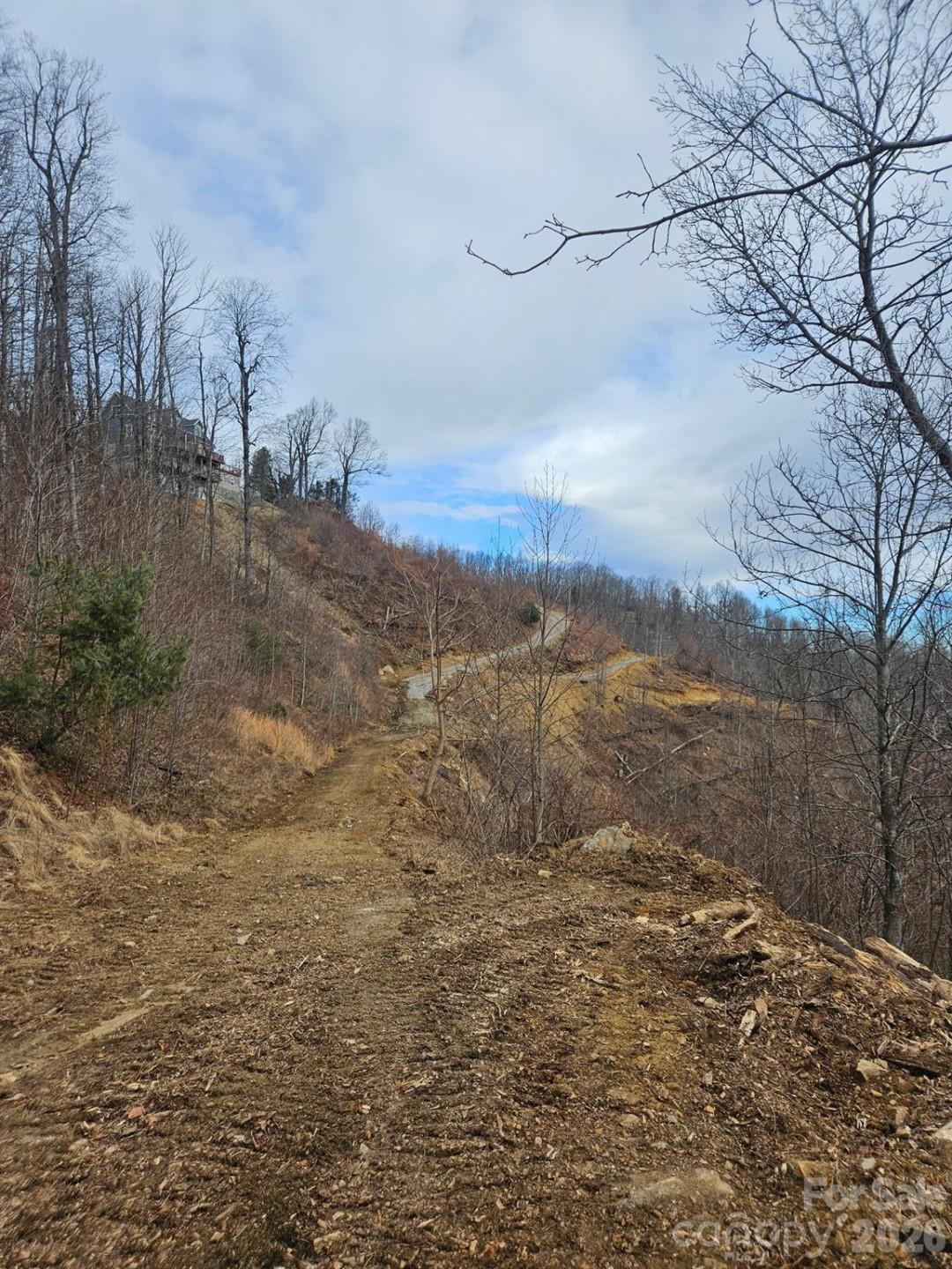 TBD Osborne Knob Road - Photo 18