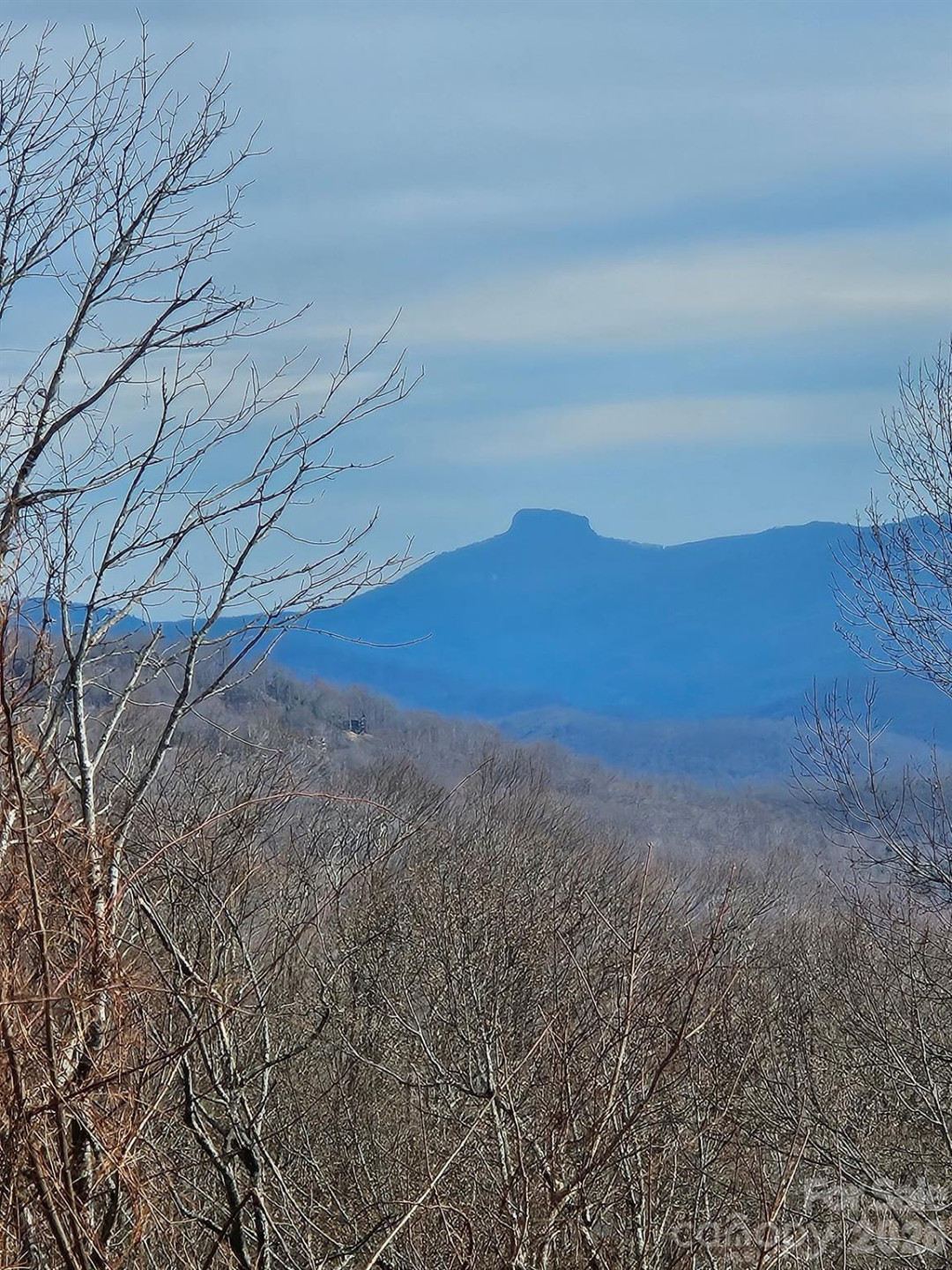 TBD Osborne Knob Road - Photo 19