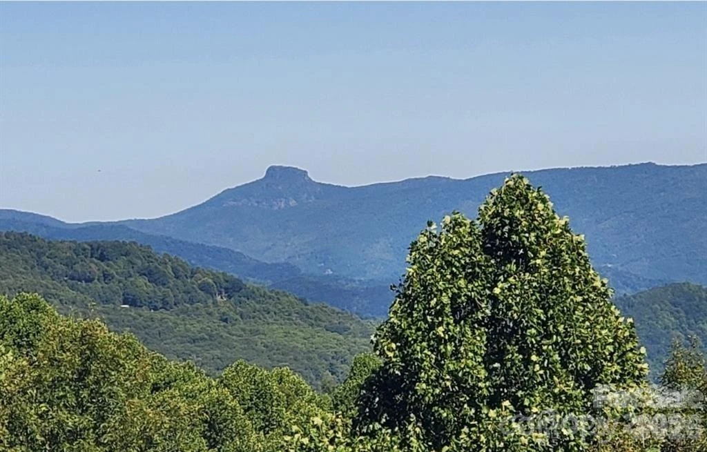 TBD Osborne Knob Road - Photo 3