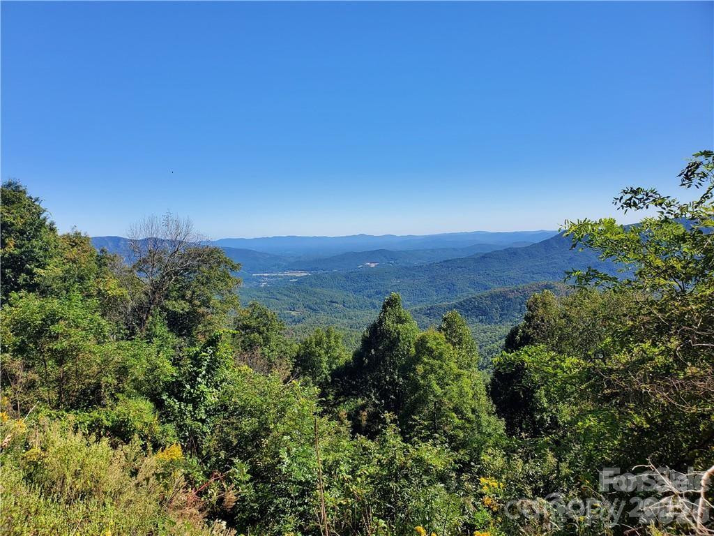 TBD Osborne Knob Road - Photo 6