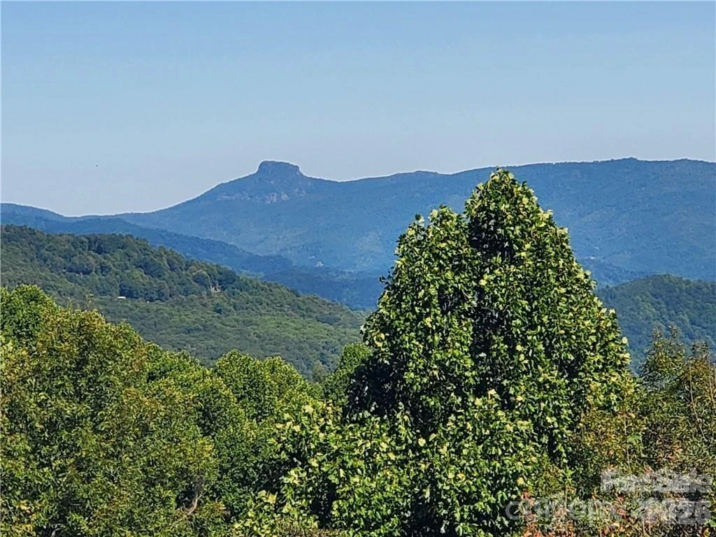 TBD Osborne Knob Road - Photo 8