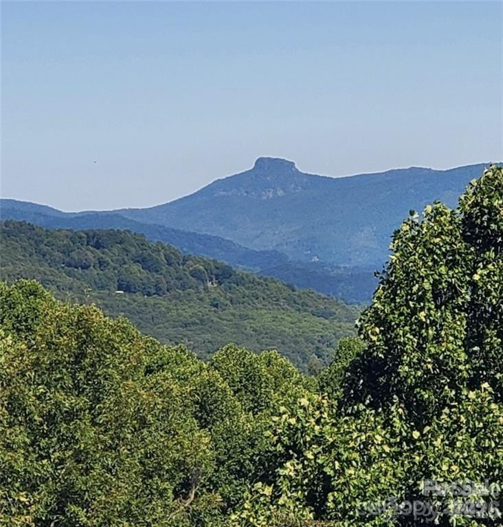 TBD Osborne Knob Road - Photo 9