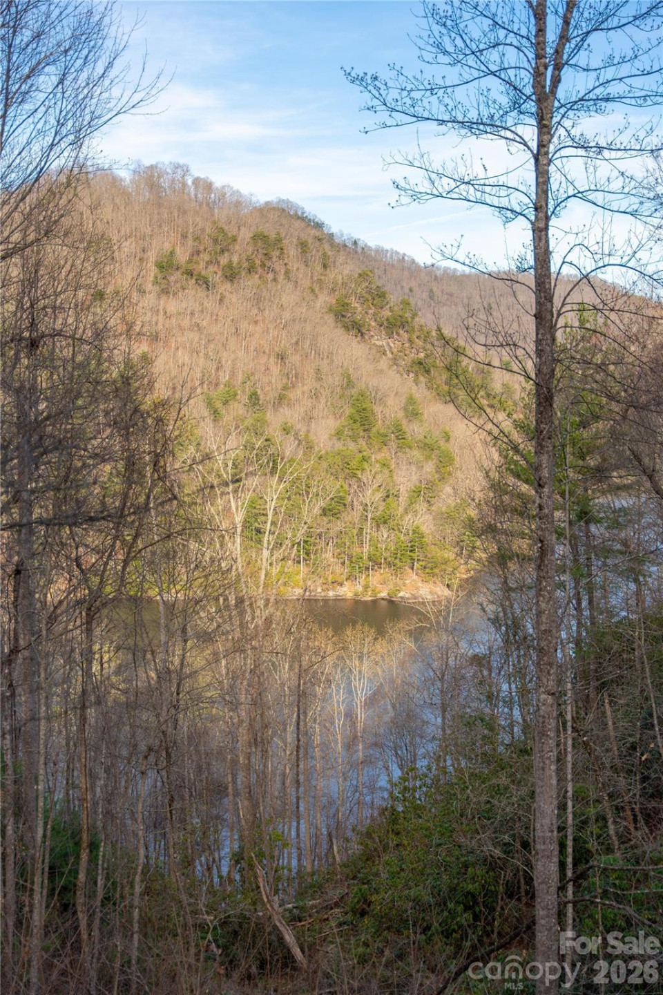 100 Saddle Notch Lane #A1 - Photo 29