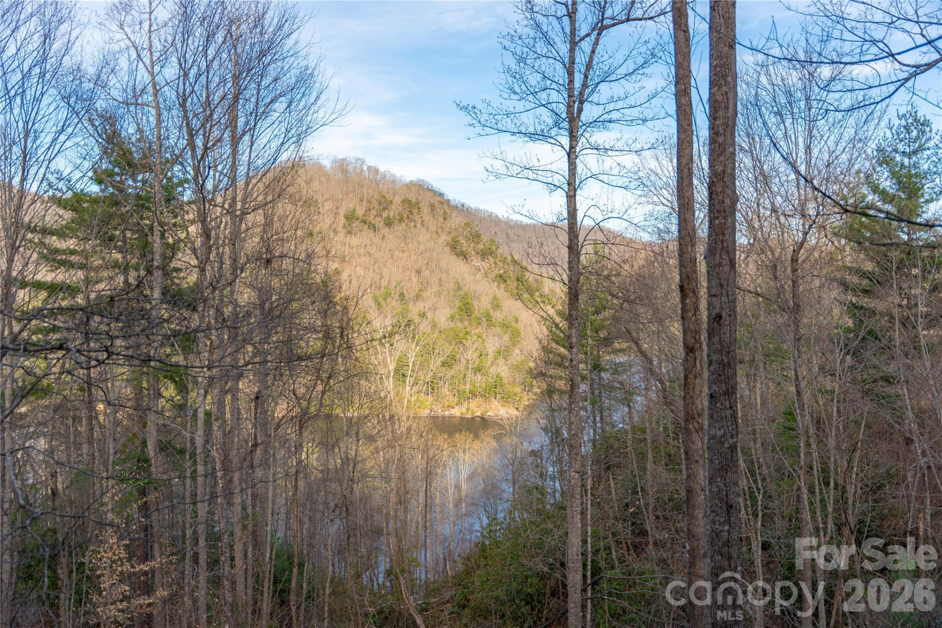 100 Saddle Notch Lane #A1 - Photo 30