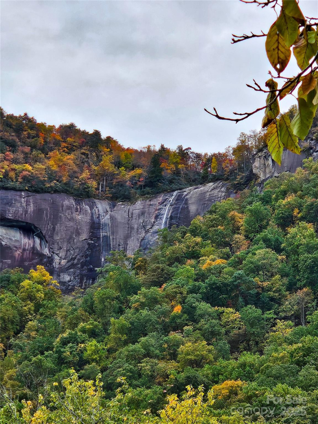 712 Main Street - Photo 3