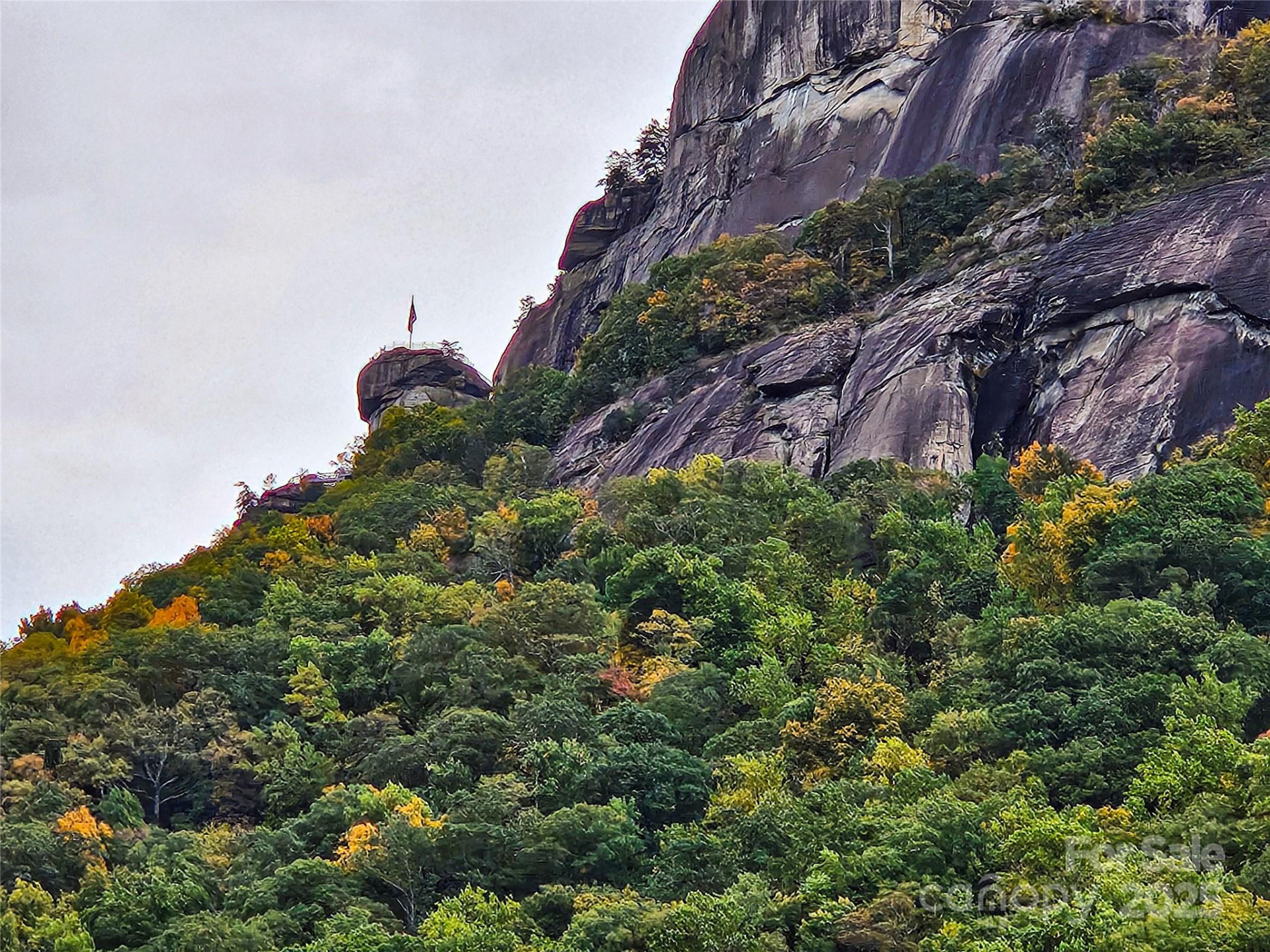 712 Main Street - Photo 5