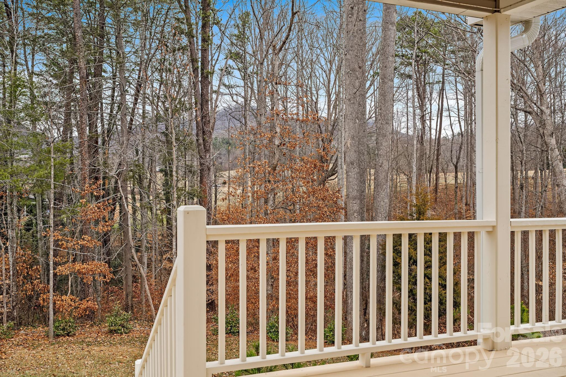 57 Parrot Road - Photo 33