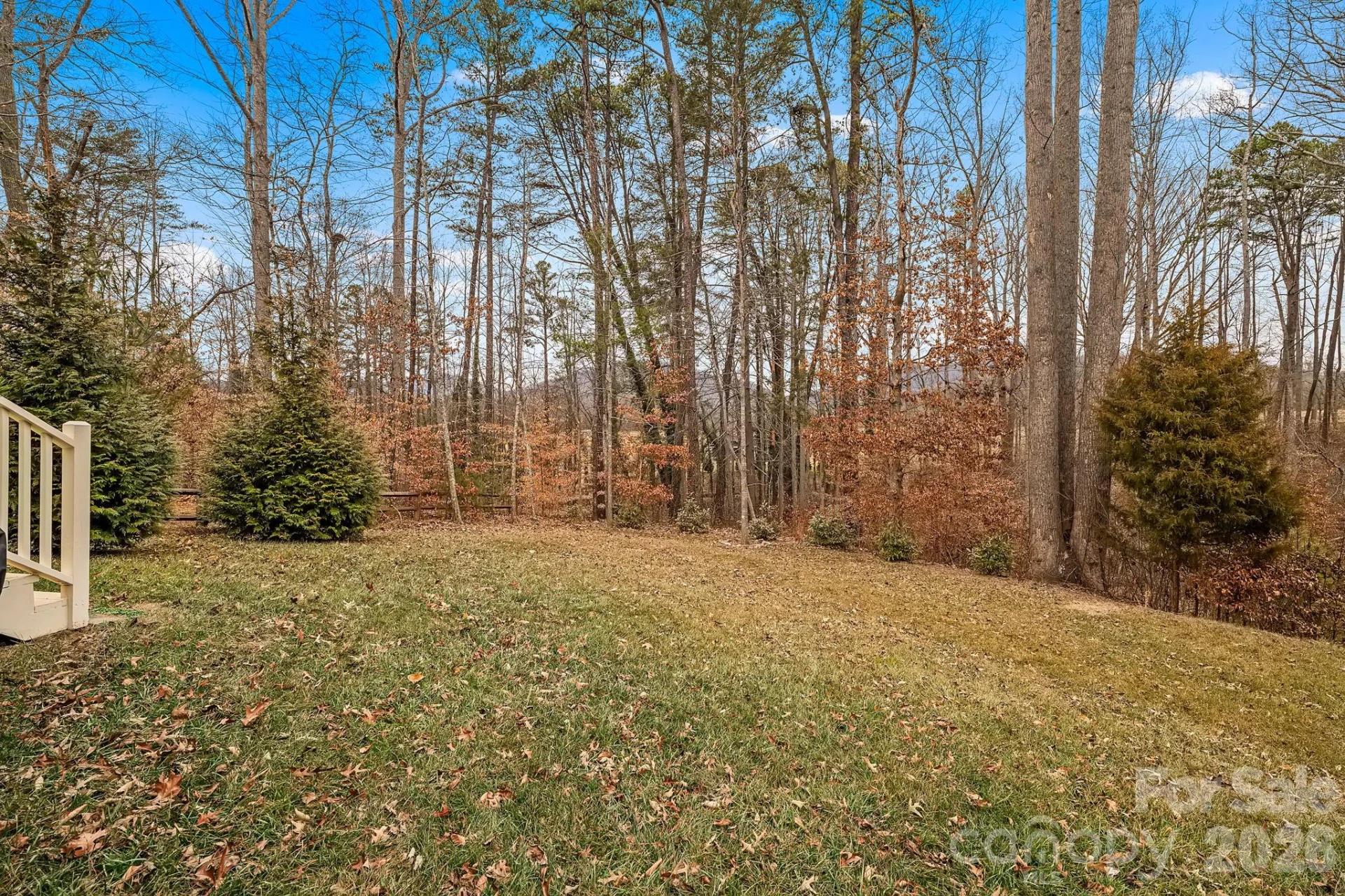 57 Parrot Road - Photo 36