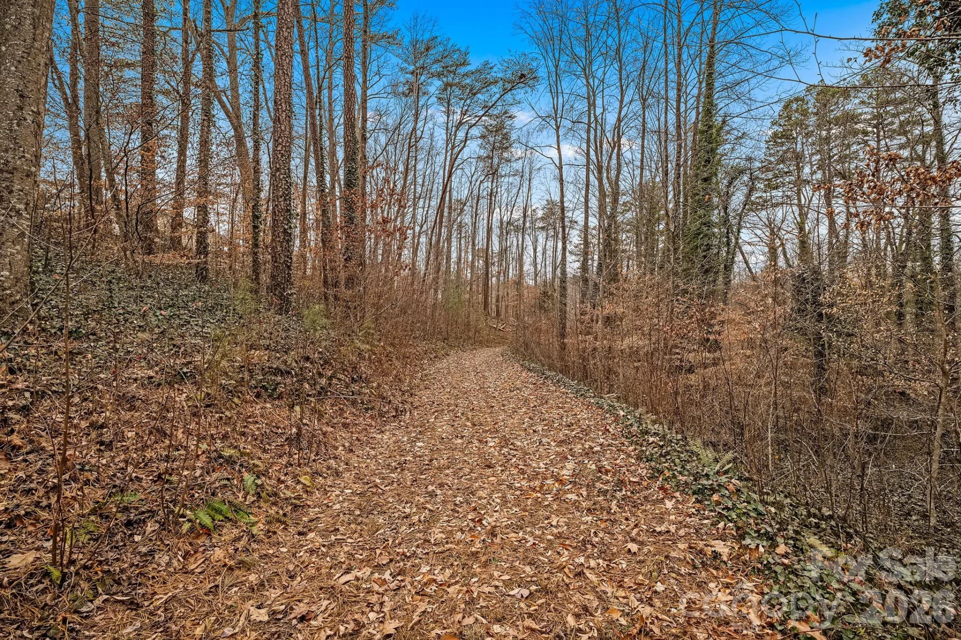 57 Parrot Road - Photo 42