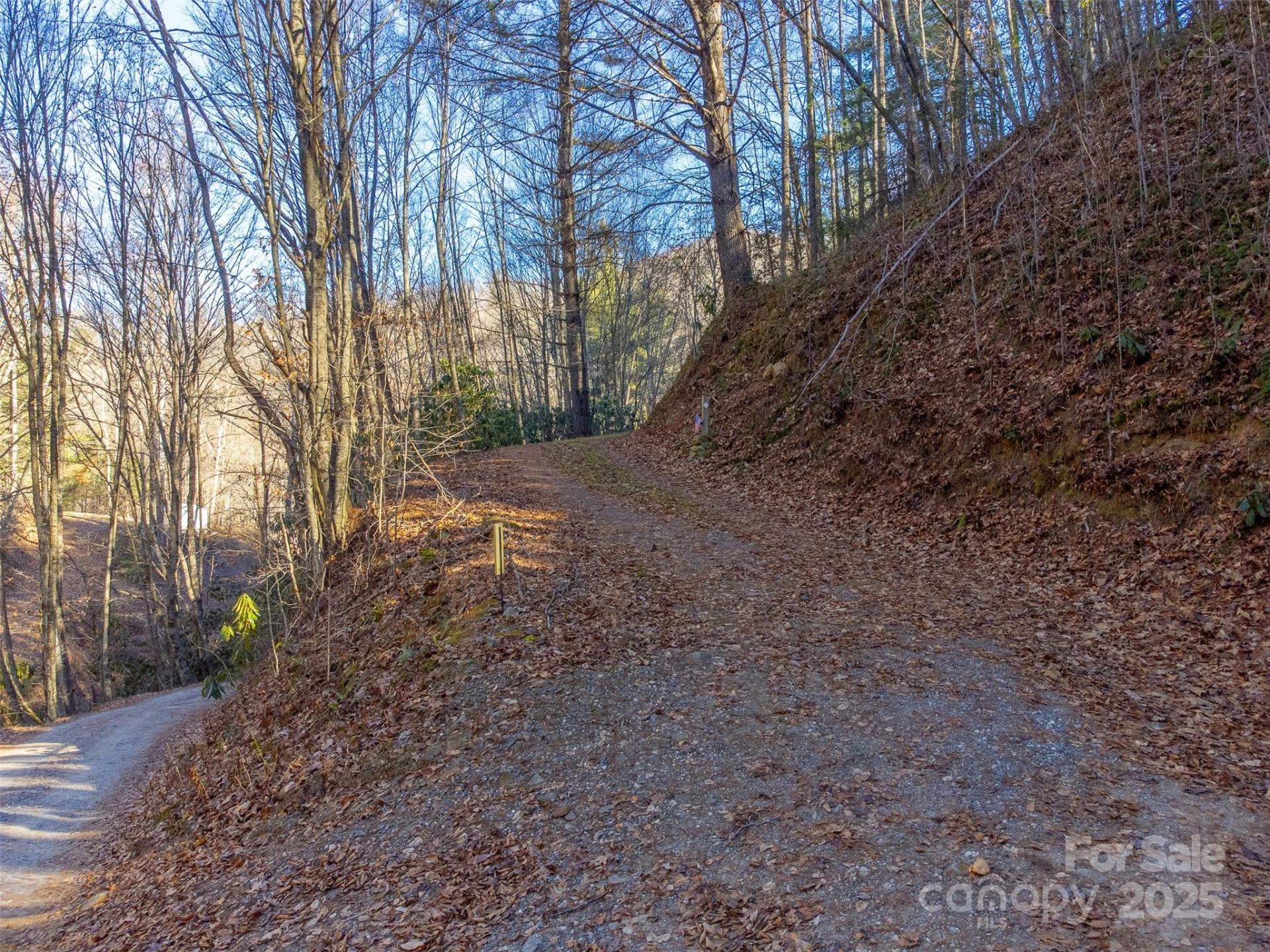 109 Hog Cove Road - Photo 25