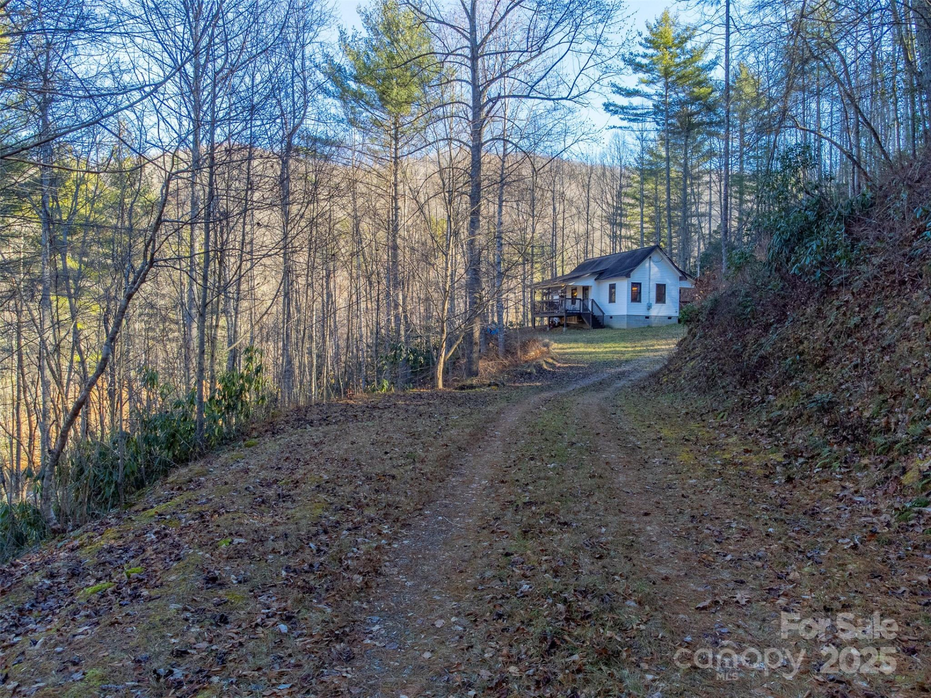 109 Hog Cove Road - Photo 26