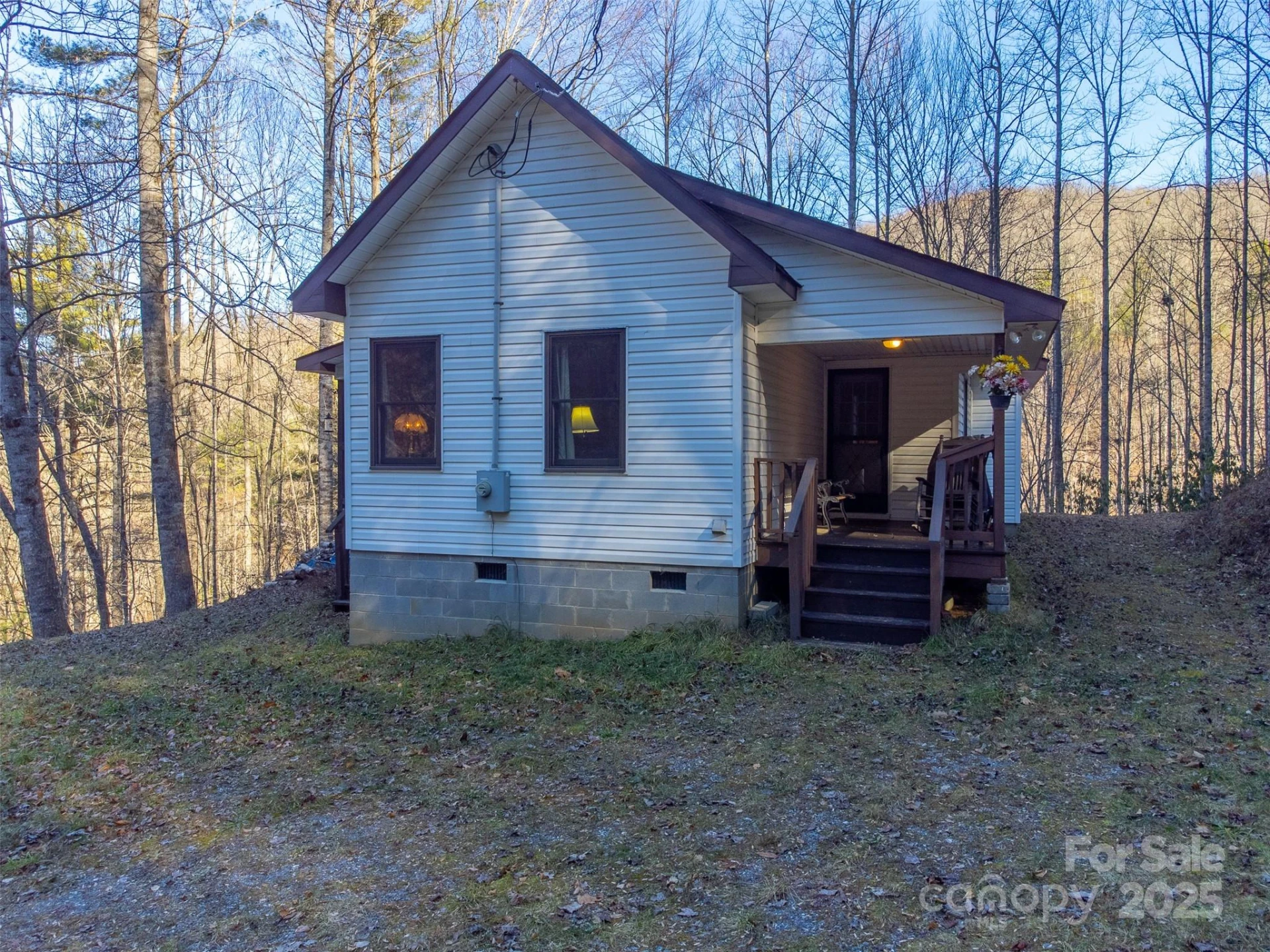 109 Hog Cove Road - Photo 4