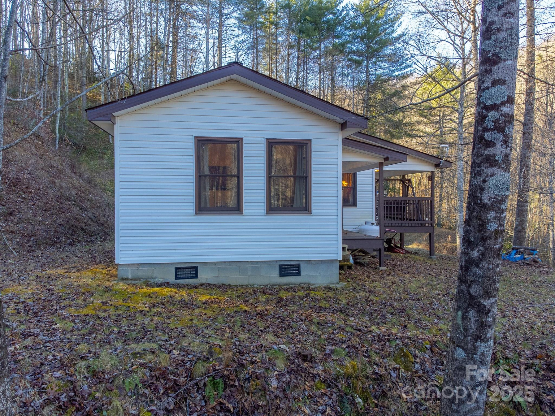 109 Hog Cove Road - Photo 36