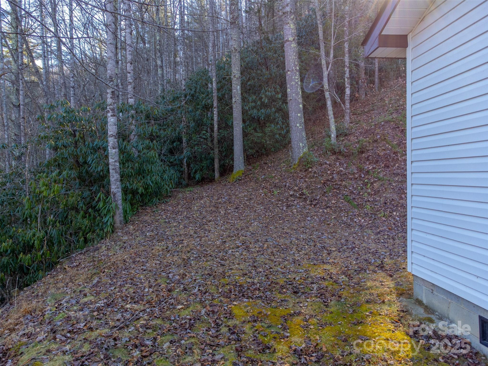 109 Hog Cove Road - Photo 37