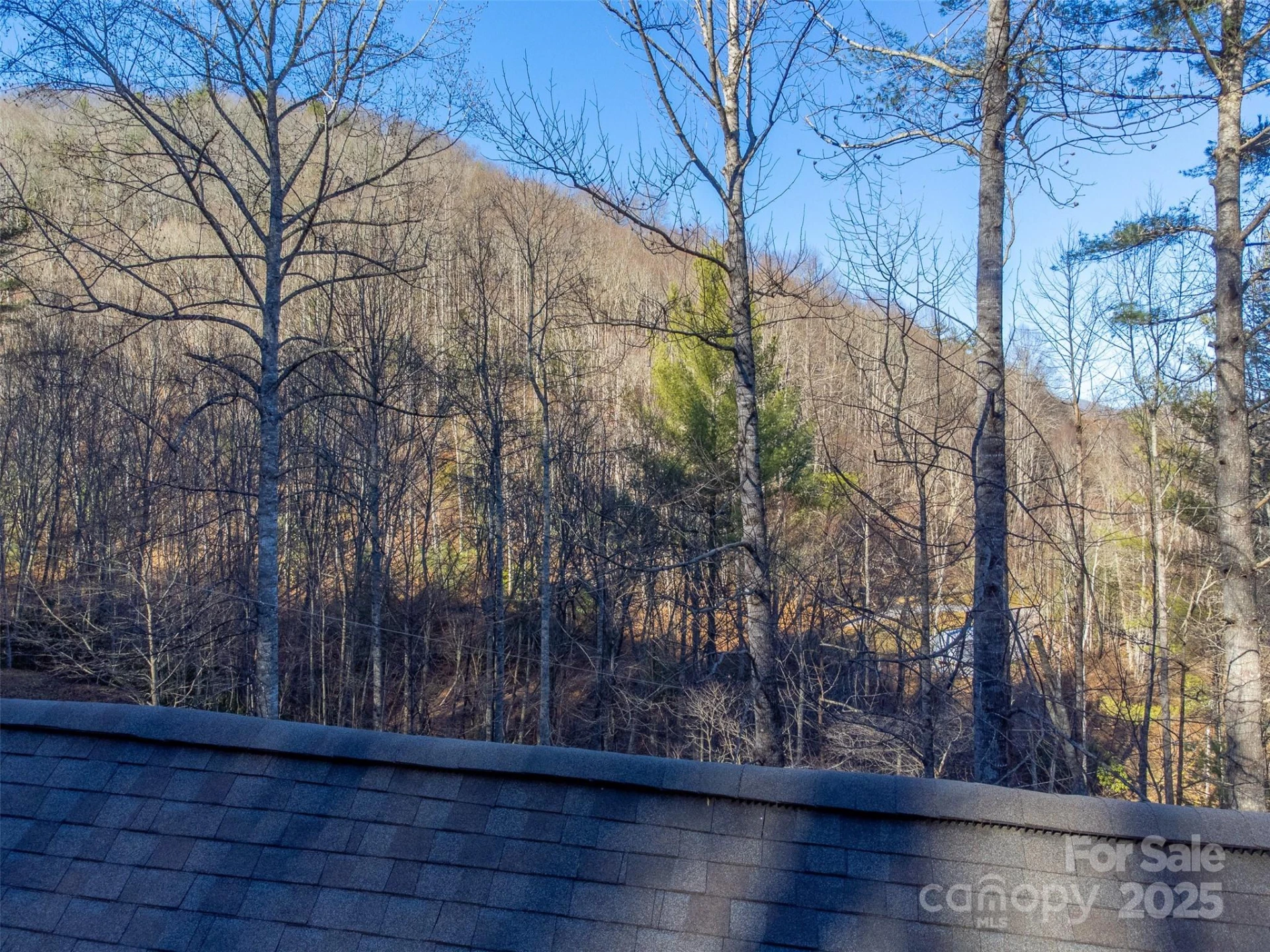 109 Hog Cove Road - Photo 40