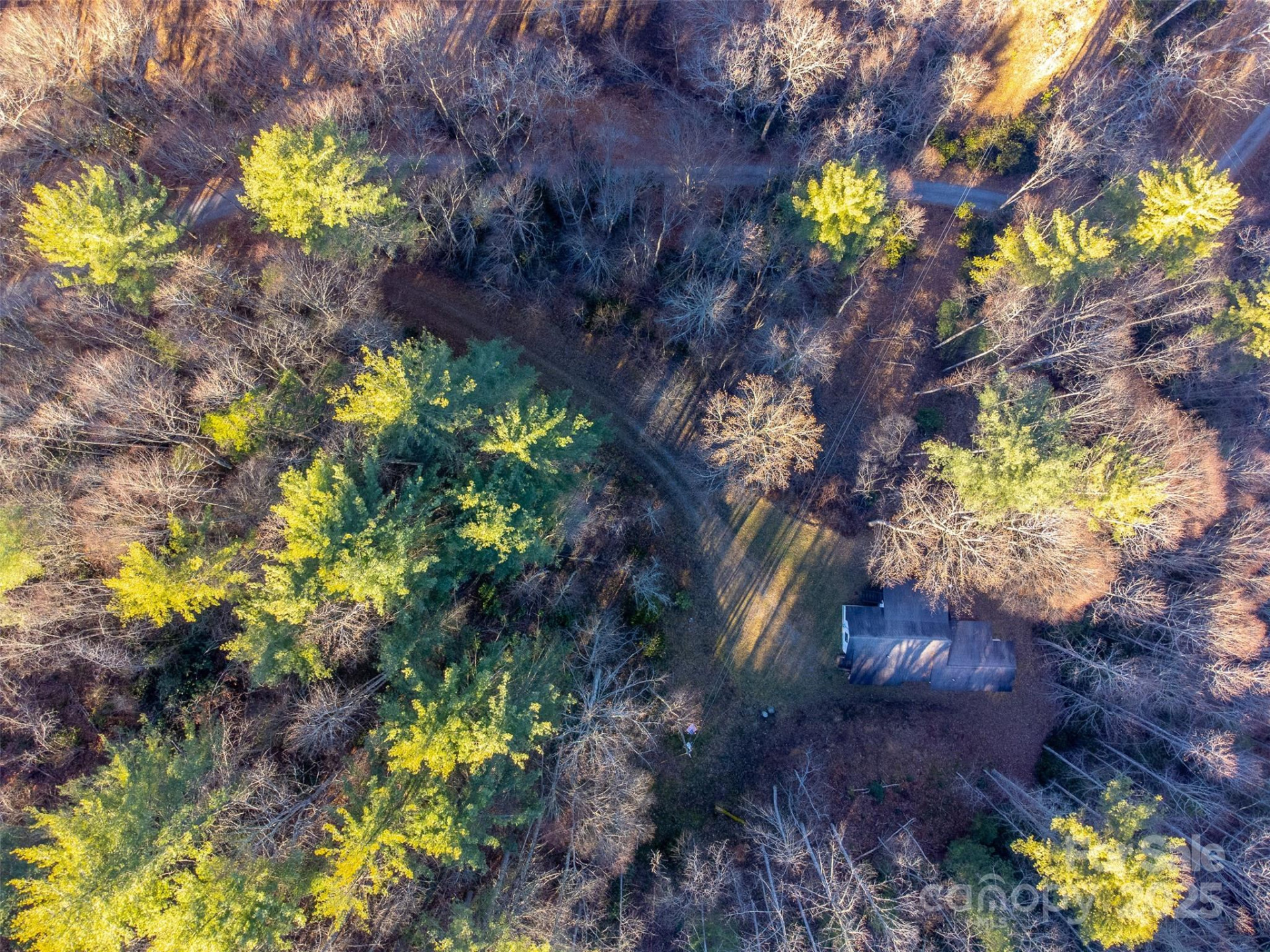 109 Hog Cove Road - Photo 45