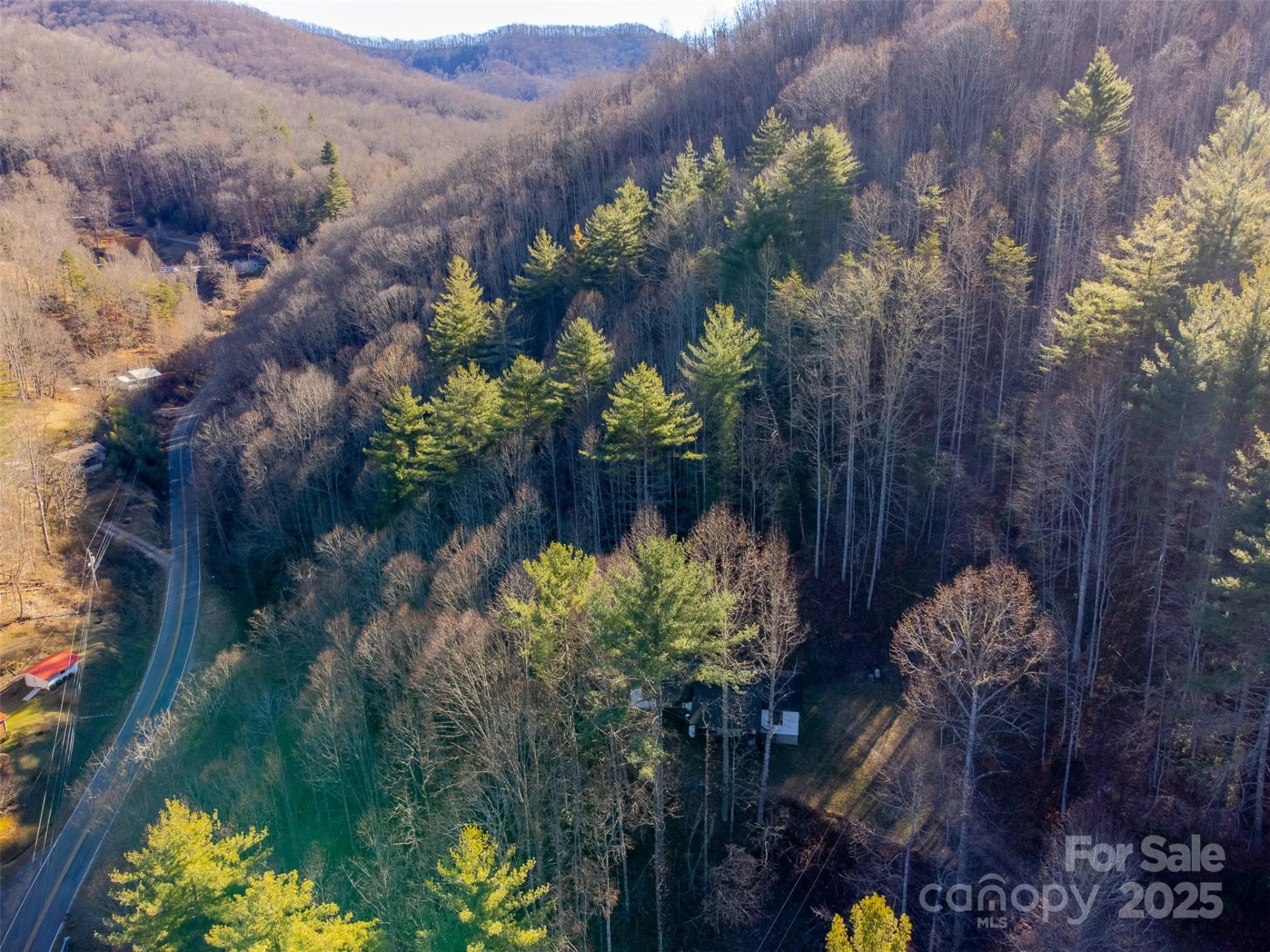 109 Hog Cove Road - Photo 46
