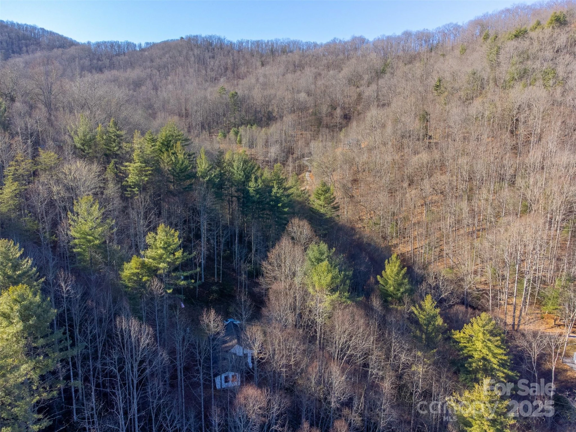 109 Hog Cove Road - Photo 47