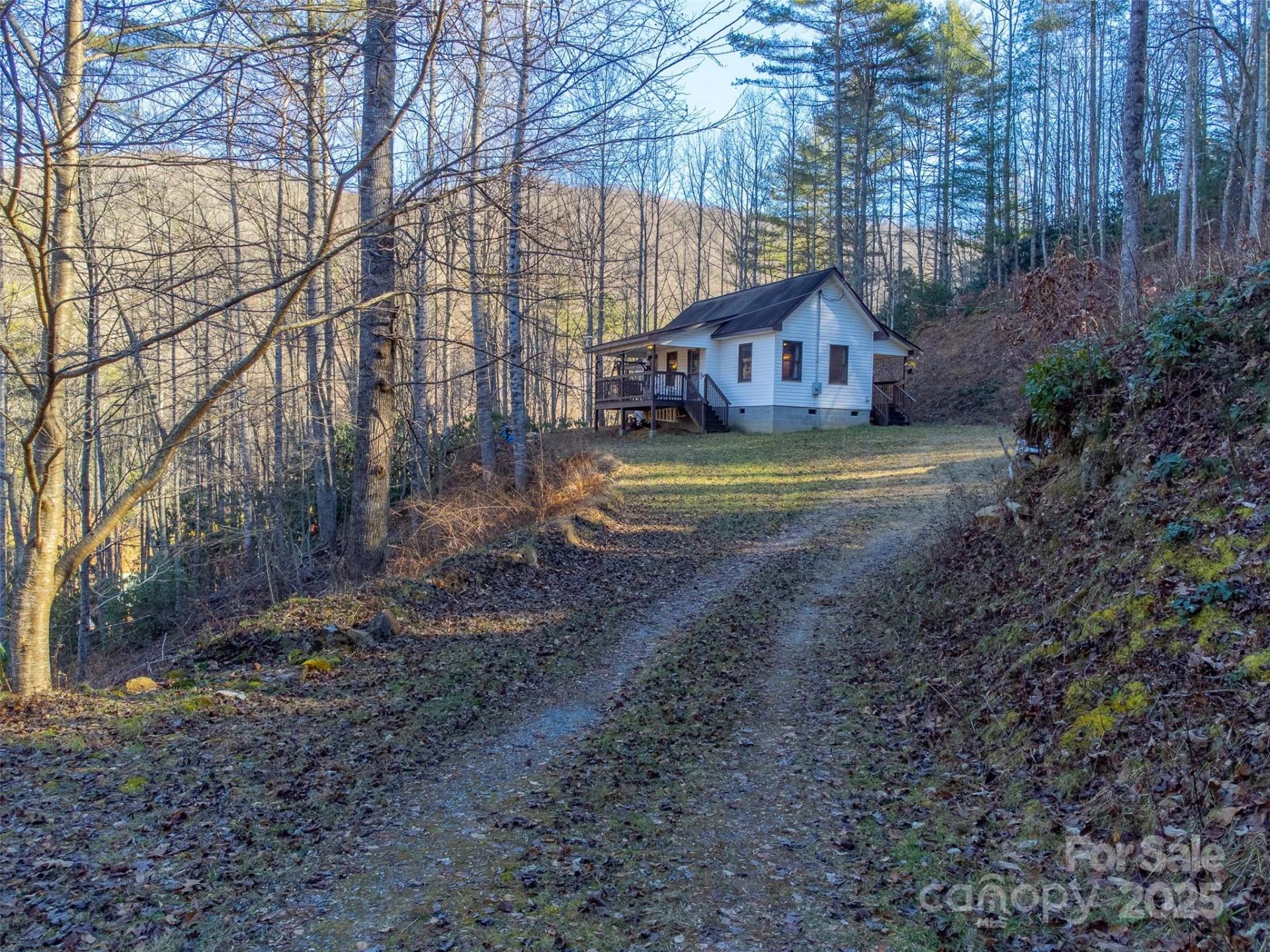 109 Hog Cove Road - Photo 48