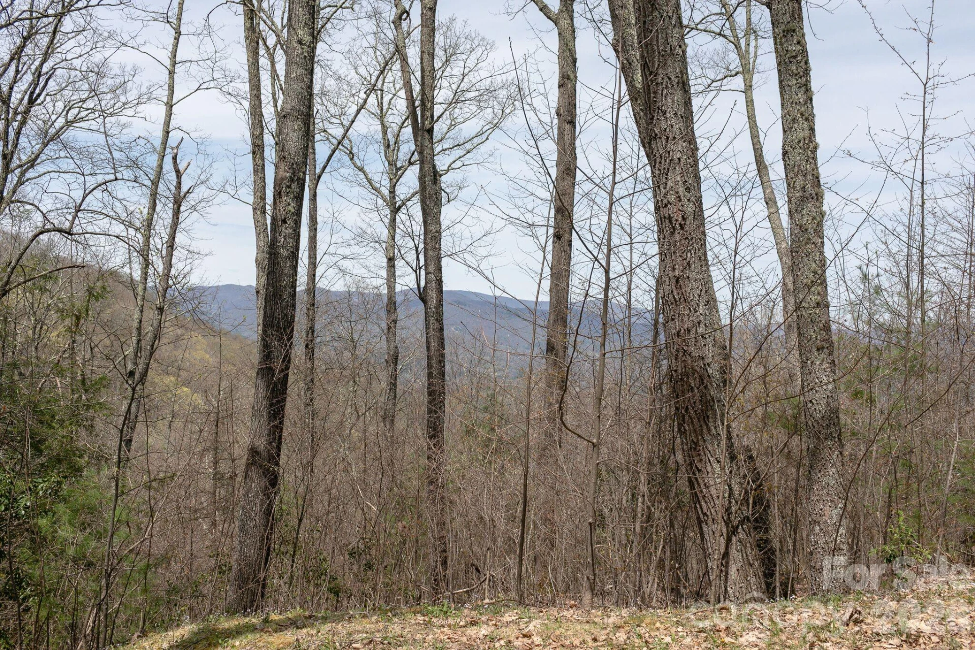 Lot 2 Heritage Ridge Loop - Photo 11