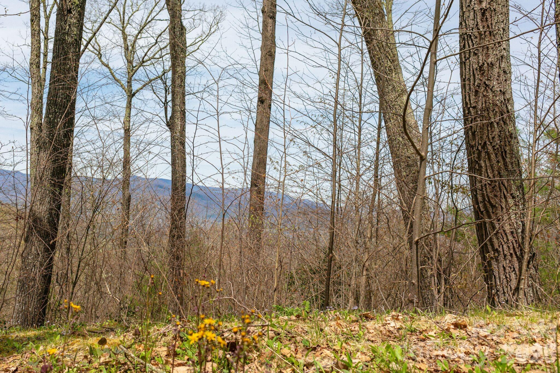 Lot 2 Heritage Ridge Loop - Photo 3