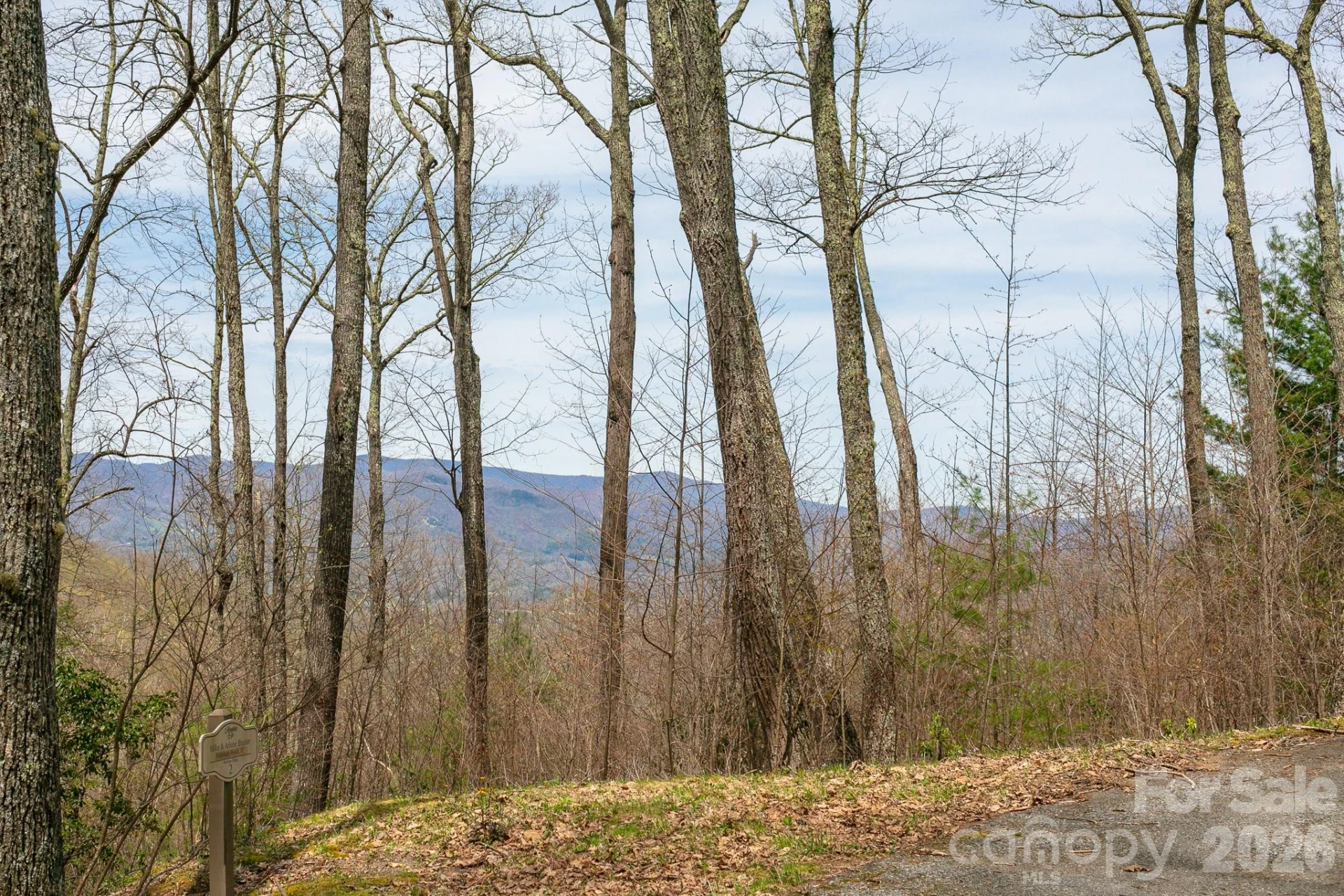 Lot 2 Heritage Ridge Loop - Photo 7