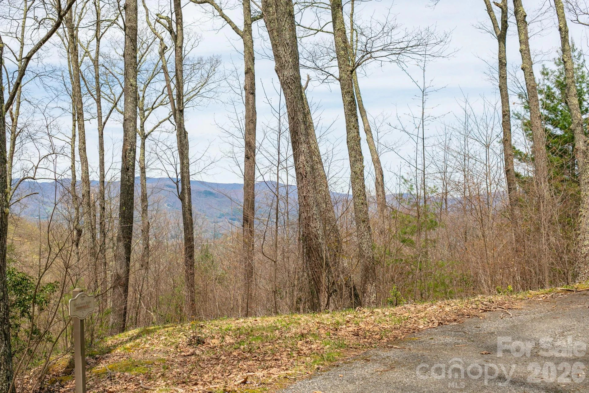 Lot 2 Heritage Ridge Loop - Photo 8