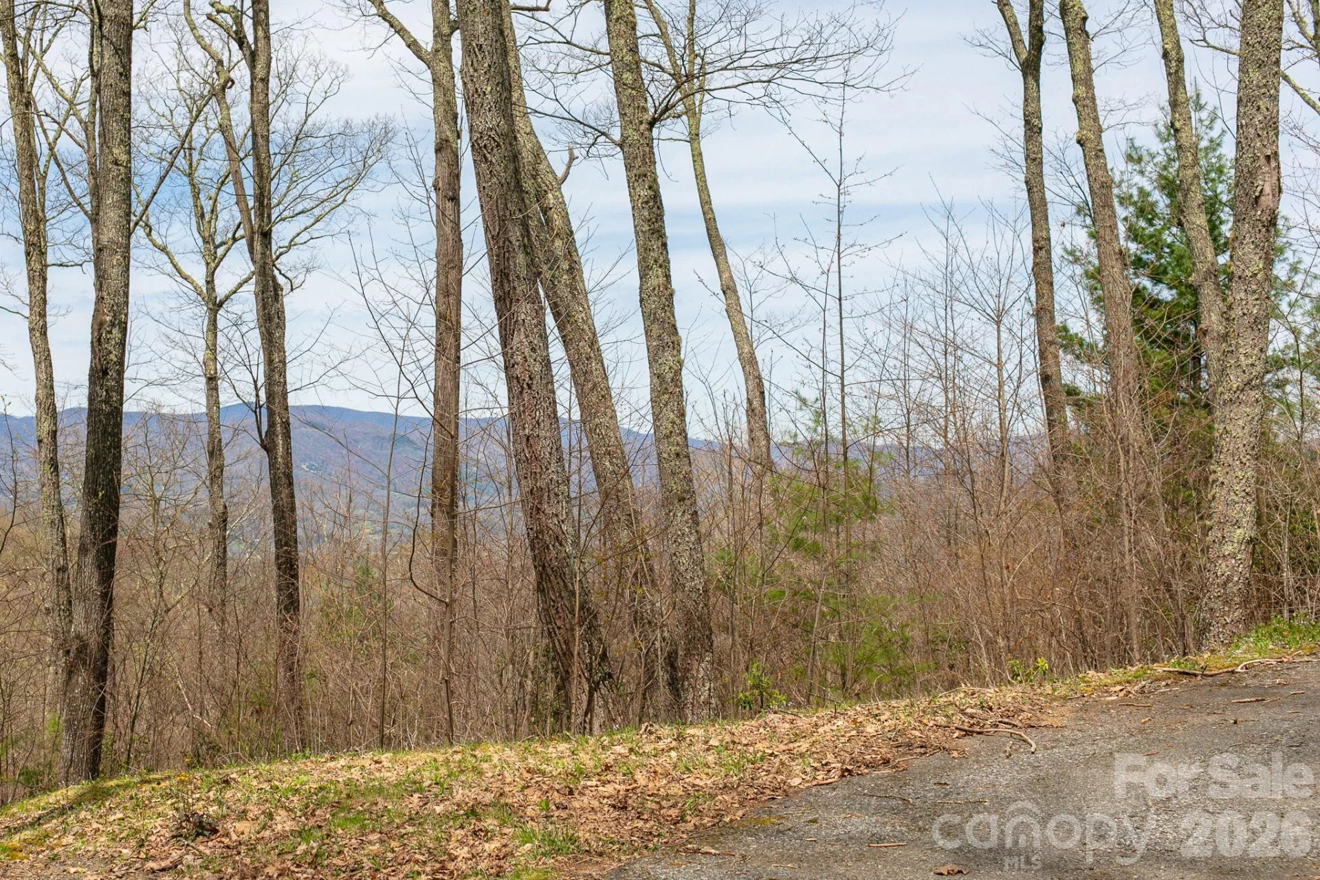 Lot 2 Heritage Ridge Loop - Photo 9