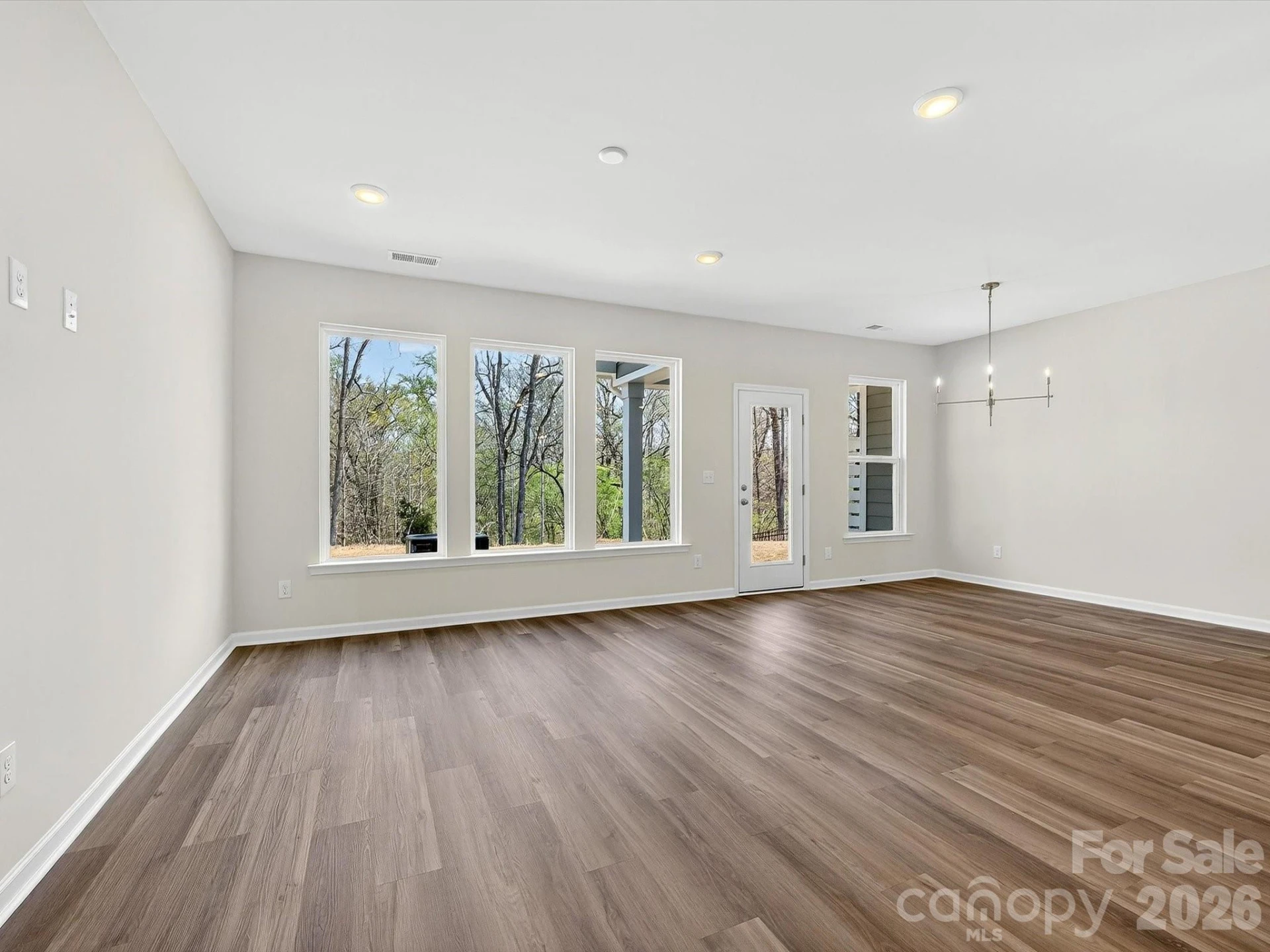 250 Alluvium Lane - Photo 11