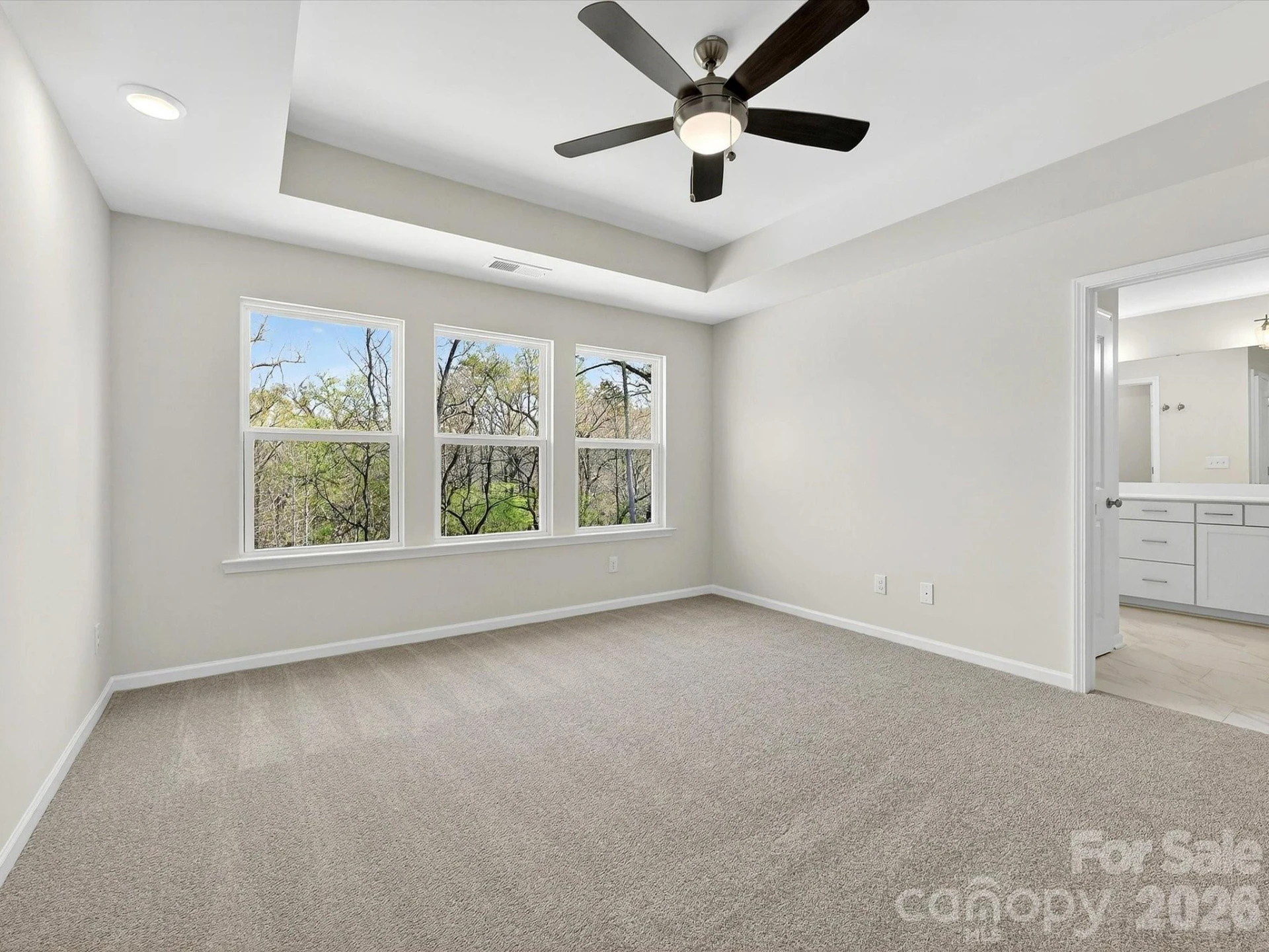 250 Alluvium Lane - Photo 17