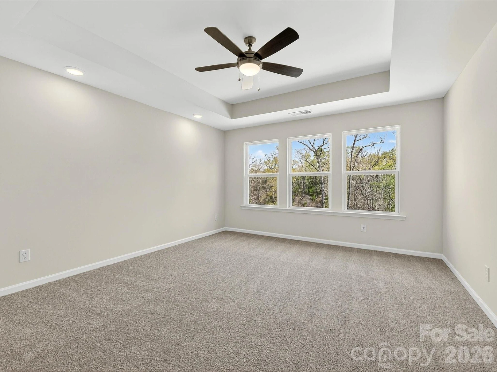 250 Alluvium Lane - Photo 18