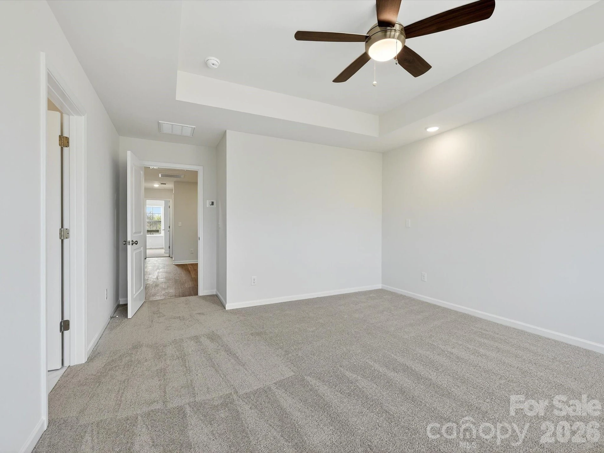250 Alluvium Lane - Photo 19