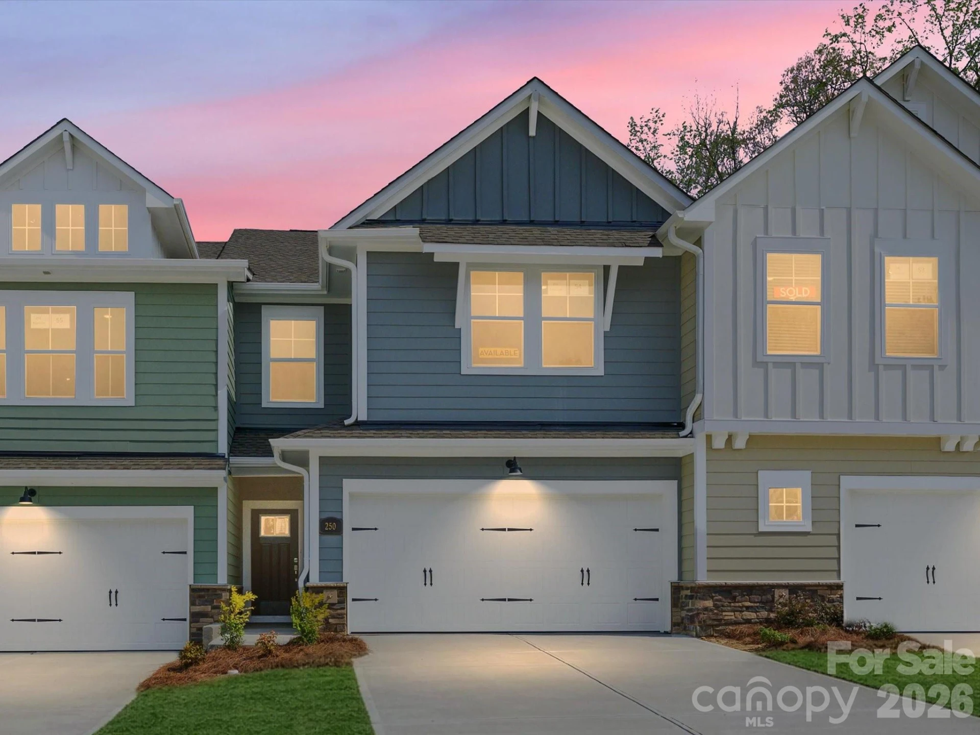 250 Alluvium Lane - Photo 29