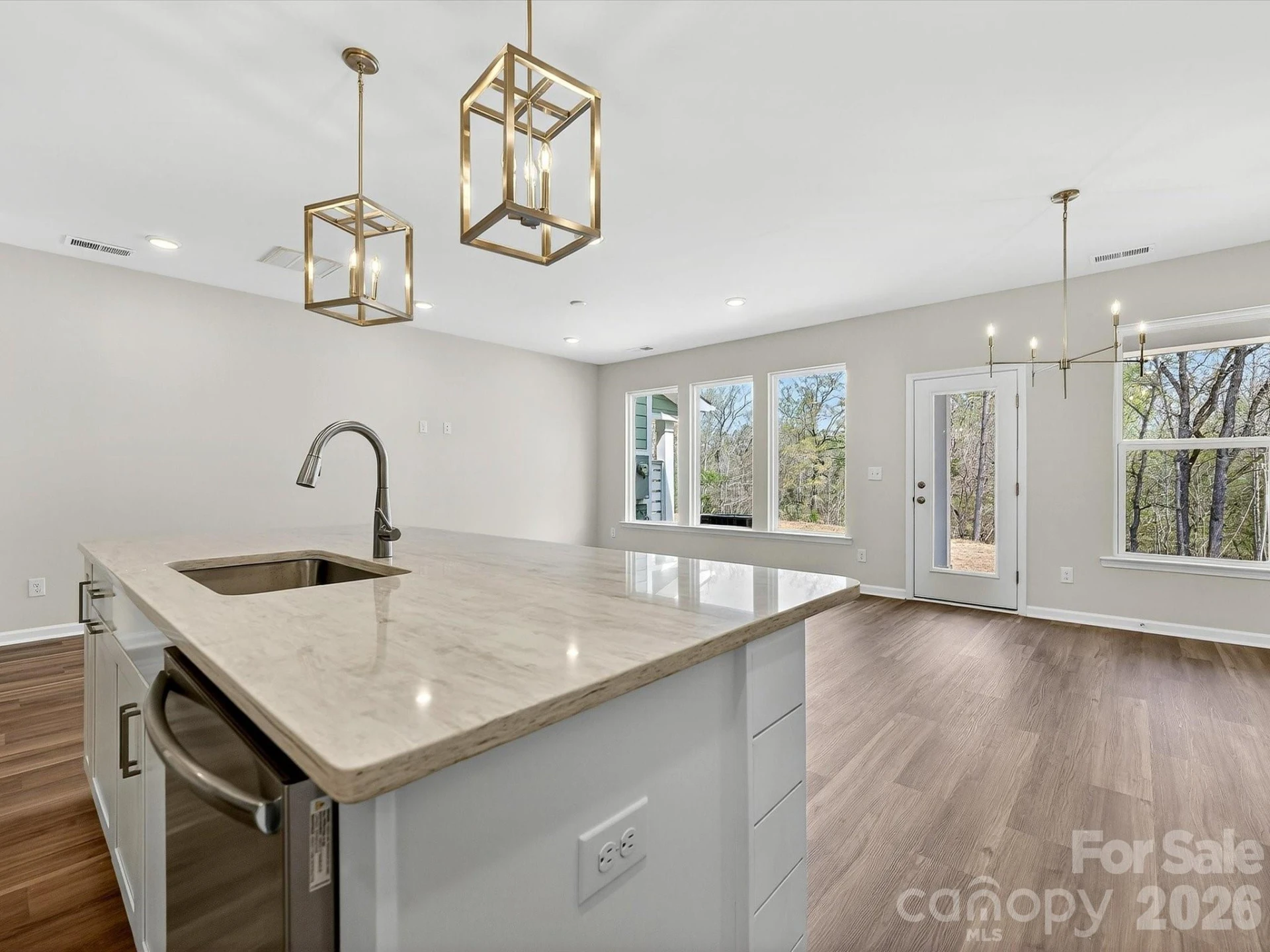 250 Alluvium Lane - Photo 8