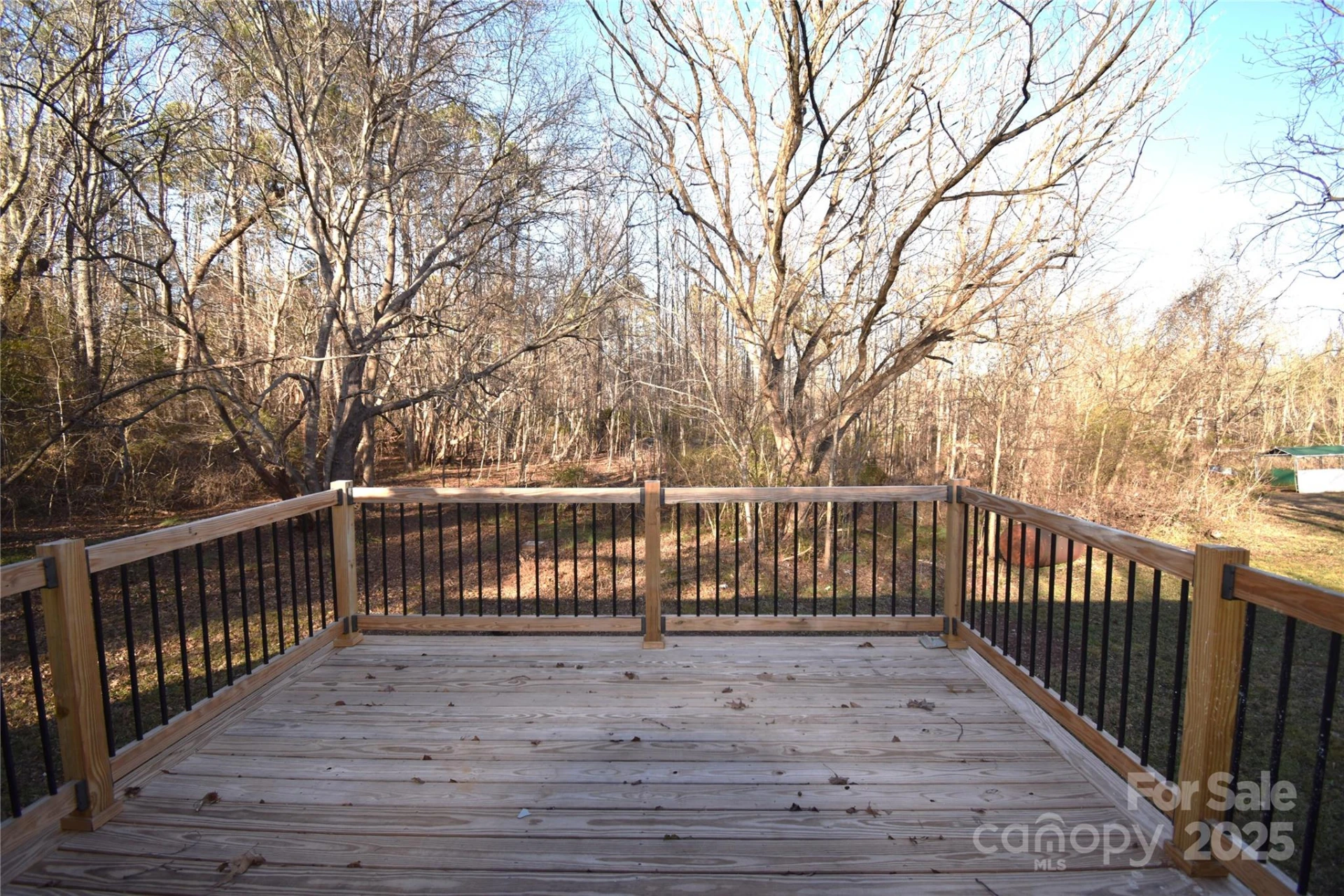 2823 JT Posse Drive - Photo 26