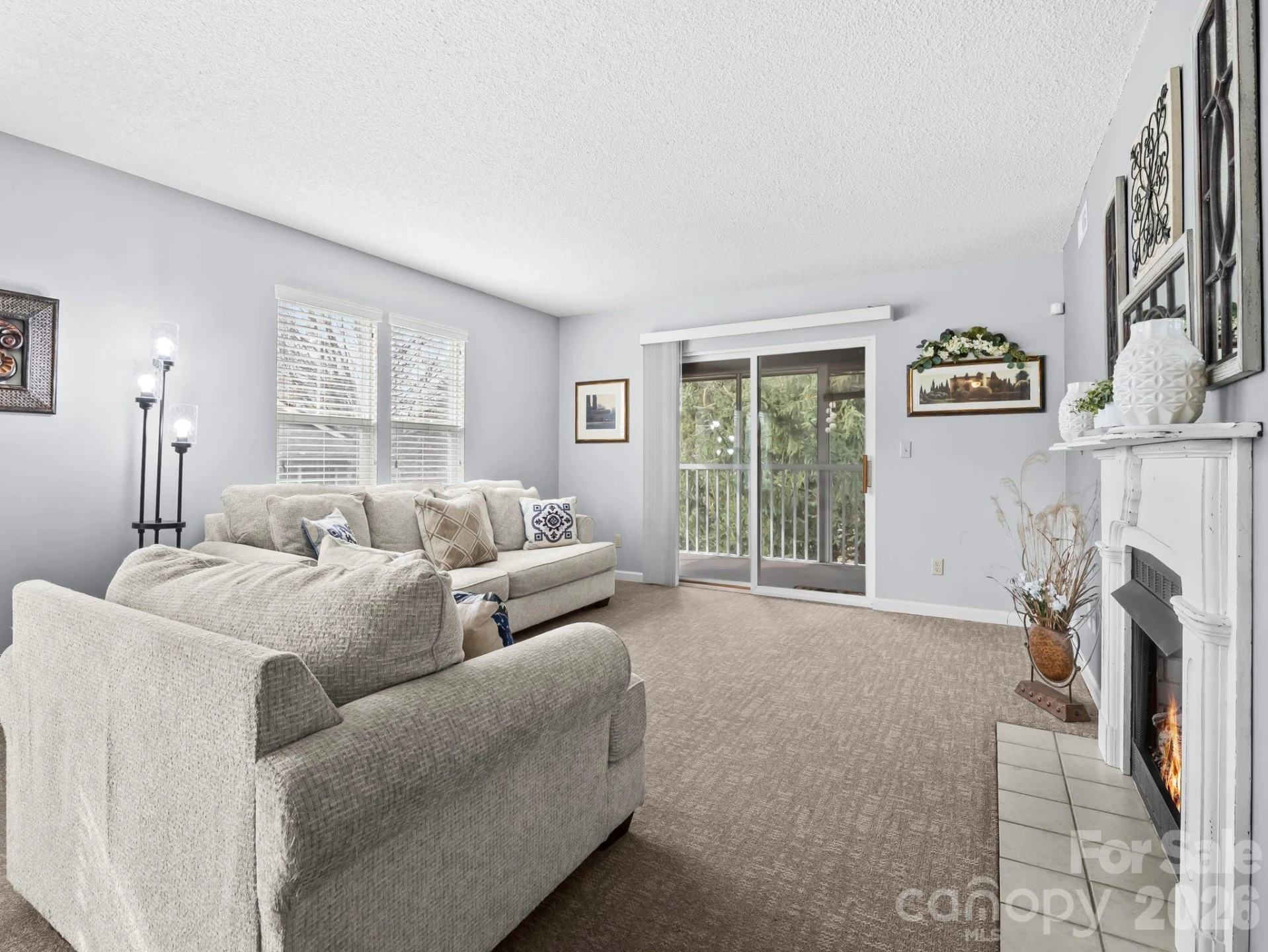 1002 Deermouse Way - Photo 2