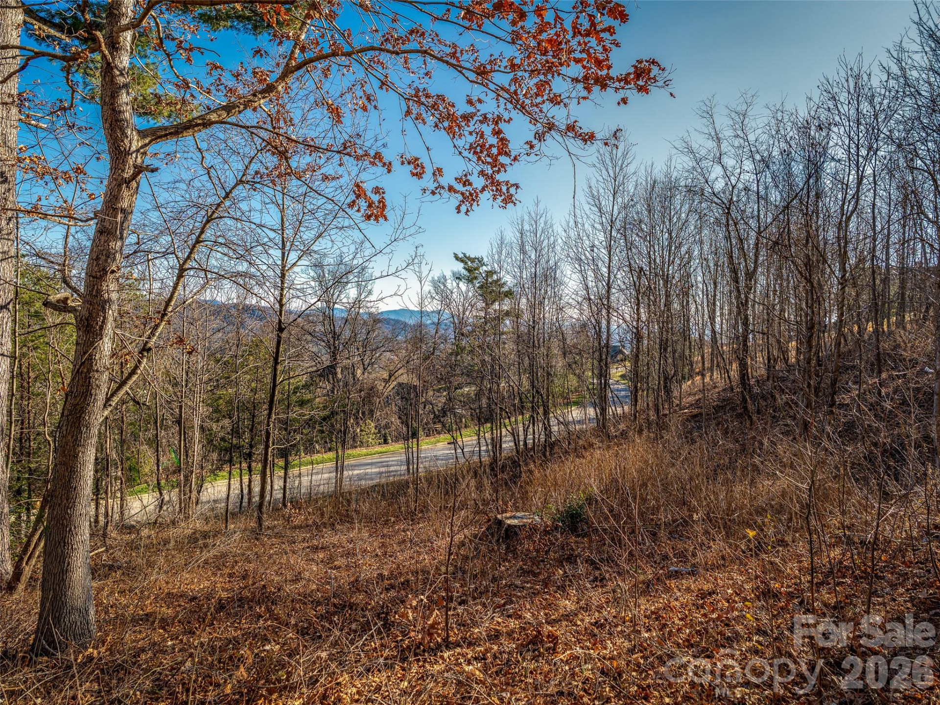 167 Summit Tower Circle - Photo 3