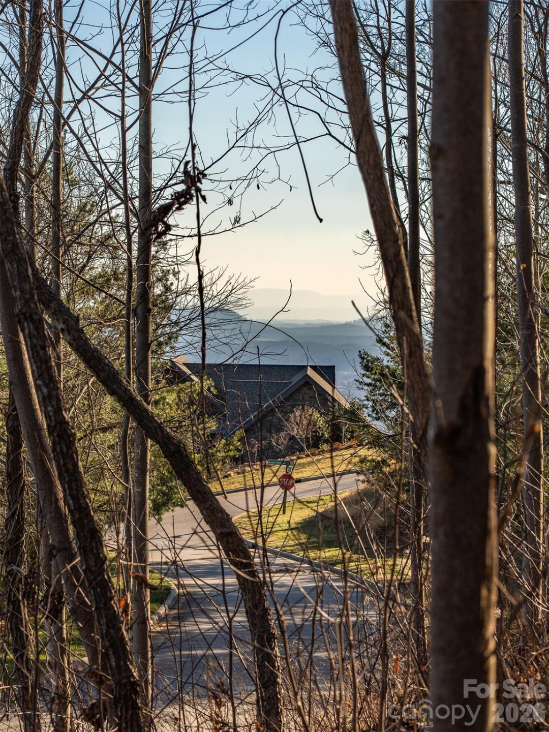 167 Summit Tower Circle - Photo 6