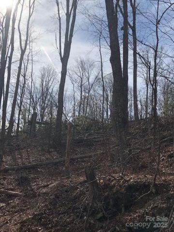 000 Marshall Ridge Road