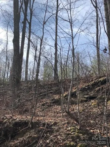 000 Marshall Ridge Road