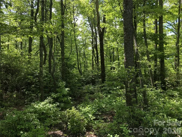 0 Millard Crossing