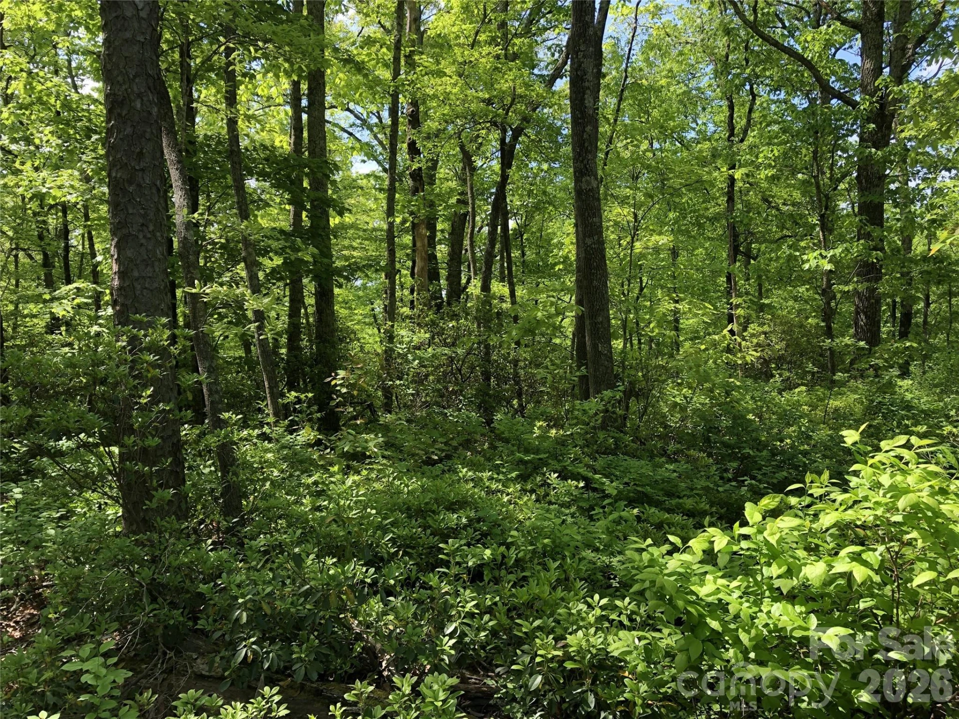 000 Millard Crossing #18 - Photo 2