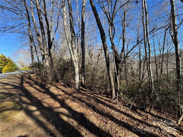 Lot 19 Udoque Court, Brevard, NC, 28712
