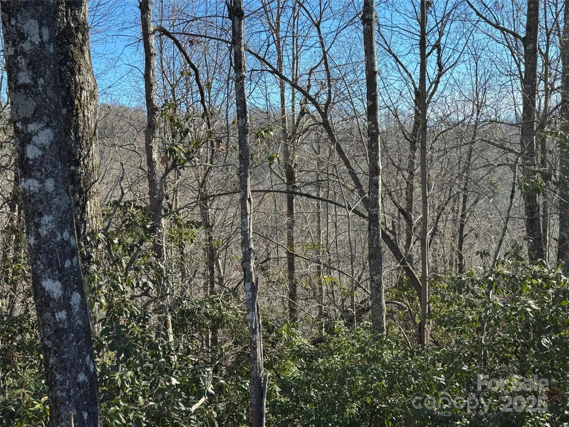Lot 19 Udoque Court - Photo 7