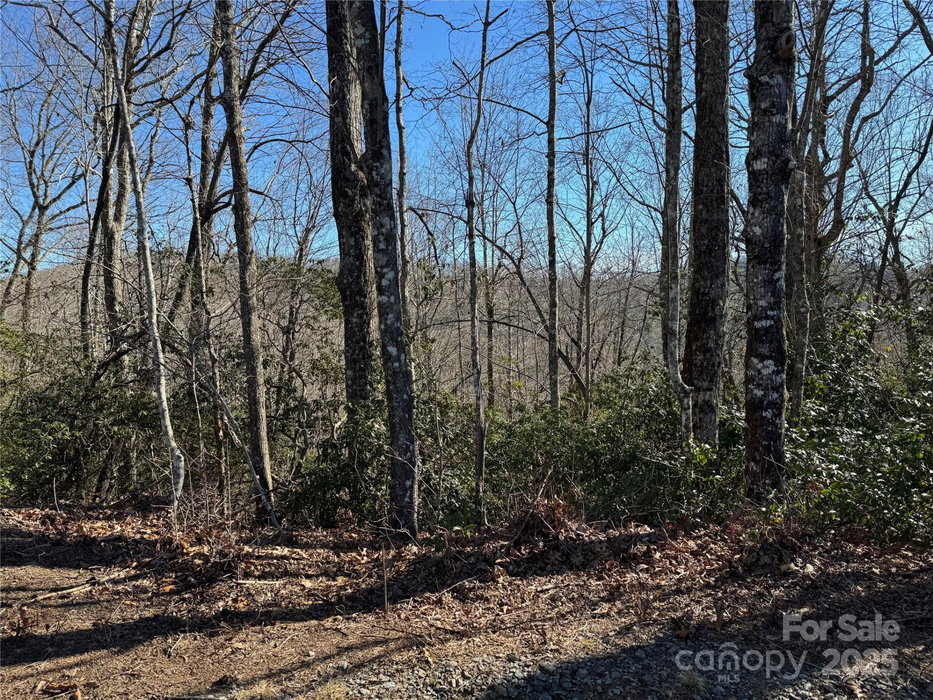 Lot 19 Udoque Court - Photo 8